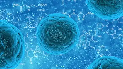 stem cell therapy in Germany