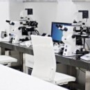 Selection IVF